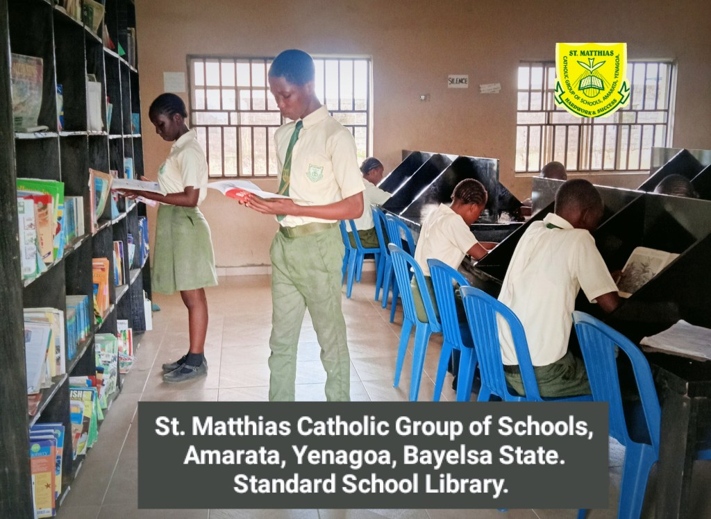 St Matthias Catholic Group of Schools, Standard School Library